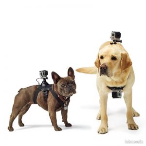 4734 –  Harnais réglable pour caméra – Pour chiens et animaux domestiques neuf