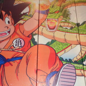 6488 – tableau 5 pièces dragon ball Z 110 x 60 cm neuf