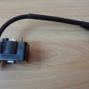 1718 – Module de Bobine d’allumage neuf