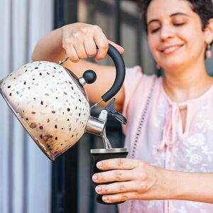 2050 – Tasse à Maté en Acier Inoxydable neuve