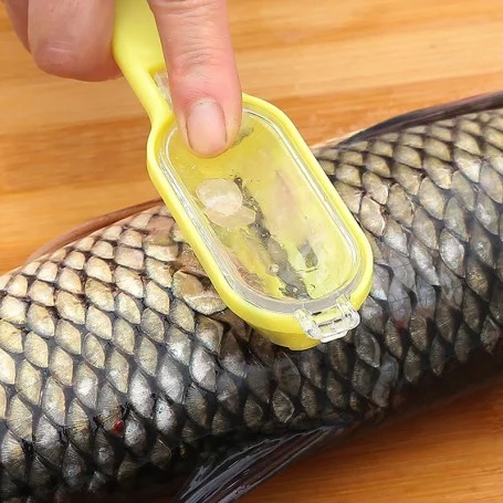 1893 – Ecailleur Brosse à écailles de poisson grattoir de peau de poisson neuf – Image 6