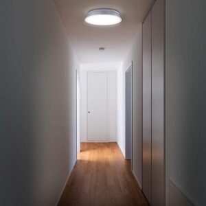 2715 – Plafonnier LED 21 cm argenté neuf