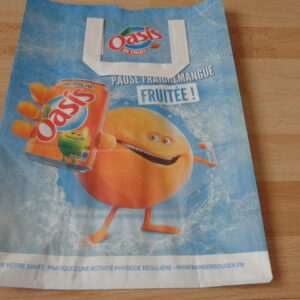 2979 – 250 Sacs en papiers oasis avec poignées plates neufs
