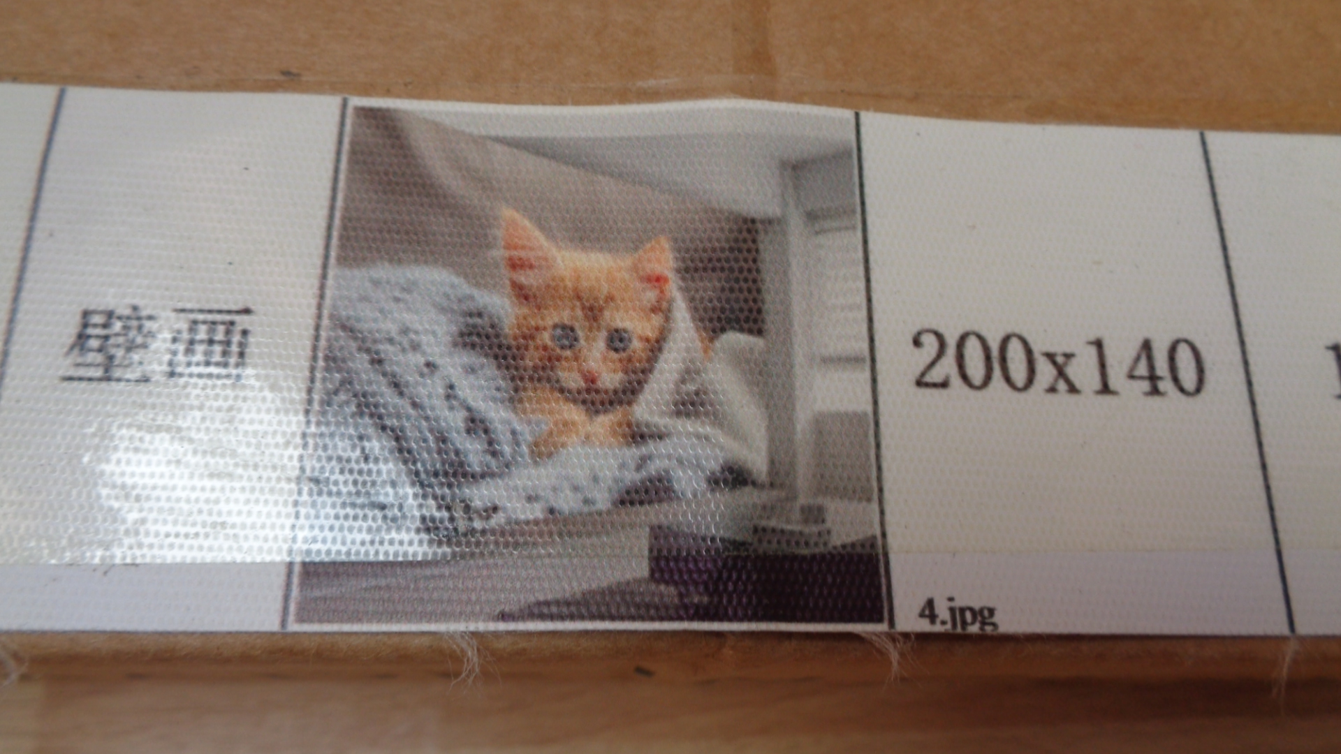 3005 – Papier peint vinyle lavable Chaton - 200 cm x 140 cm neuf – Image 3