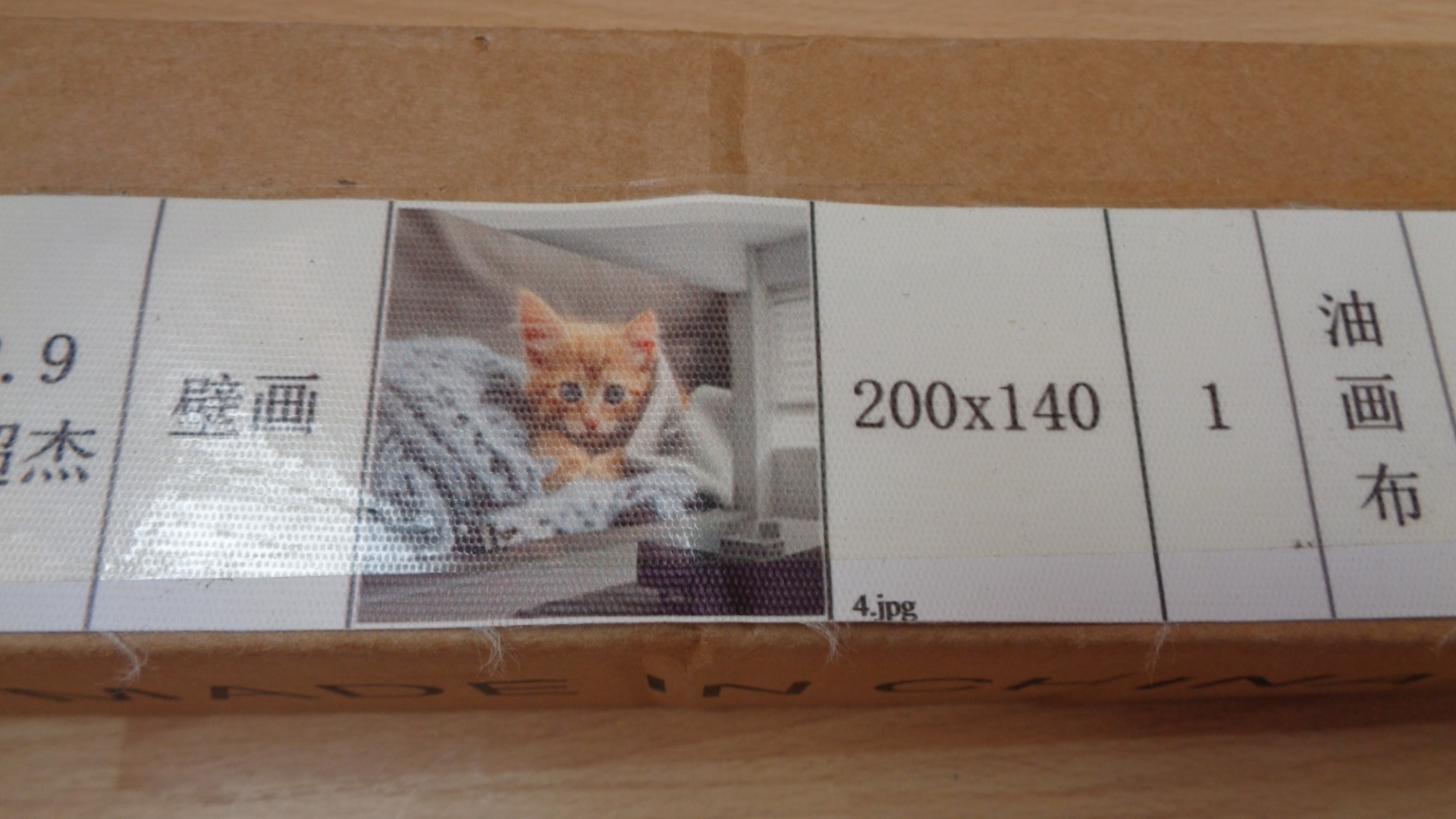 3005 – Papier peint vinyle lavable Chaton - 200 cm x 140 cm neuf – Image 2