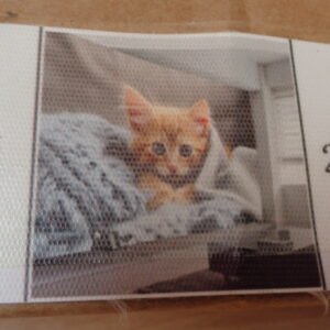 3005 – Papier peint vinyle lavable Chaton – 200 cm x 140 cm neuf